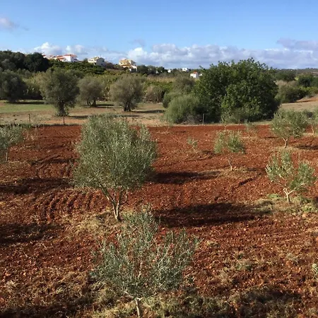 Le Paradis De La Cote Sud Est Algarvia