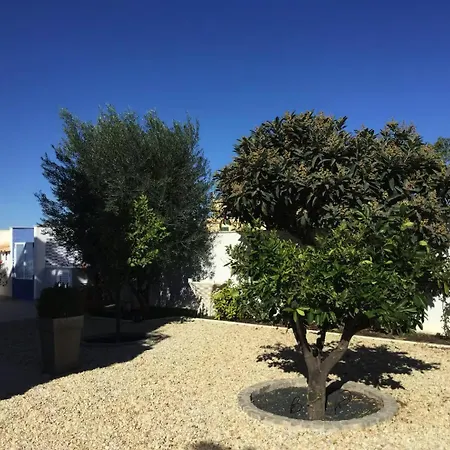 Le Paradis De La Cote Sud Est Algarvia Accommodatie bij particulieren